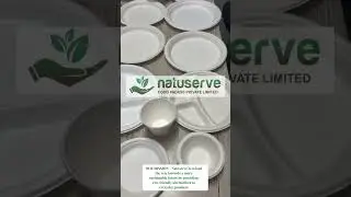 🌱 100% Compostable Tableware! | The Future of Sustainable Dining ♻️