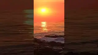 🌅🐋 새해 동해안 일출과 흰고래의 만남! (2026 대박 쇼츠)🌅🐋New Year Sunrise at East Sea with Beluga!
