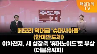 [조범수의 주도주 투자] 메모리 역대급 '슈퍼사이클'(한미반도체)·이차전지, 새 성장축 '휴머노이드'로 부상(더블유씨피) / 조범수의 주도주 투자/ 매일경제TV