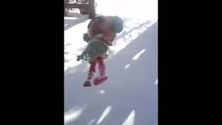 Mittens Fluff 'N' Stuff Throws Herself in the Snow