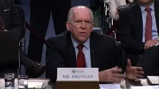 US efforts have not impacted IS group's 'global reach'