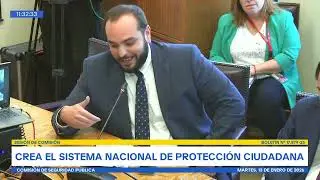 Comisión de Seguridad Pública - 13 de Enero 2026