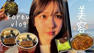 【12月最新】月1韓国の美容オタクがやってるリアル肌管理VLOG｜施術・スキンケア全部見せ