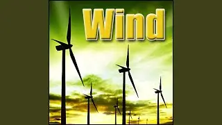Wind Wind, Hard, Shifting, Large, Rustling Stand of Reeds, Close, Wind, Authentic Sound Effects