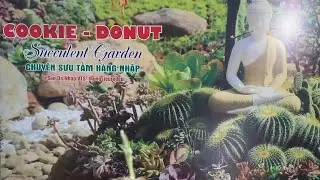 Hàng thuần giá 30k tại sendanhapvts
