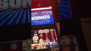 Bier Haus Minor Progressive  Win  Minimum Bet, Nice Reward