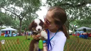 Video: Responsible Dog Owner Day at Daffin Park