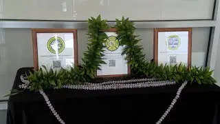 Honolulu Fire Department celebrates 175 years of service