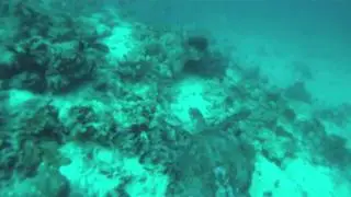 Club Med Kani 2010