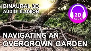 AUDIO ILLUSION BINAURAL 3D SOUND - Walk in Overgrown Garden - Use Headphones - 3D ASMR