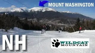 WILDCAT Mountain DAY TRIP!