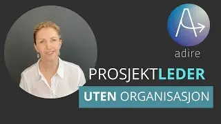 Prosjektleder uten prosjektorganisasjon