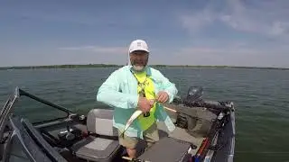 Walleye on Bink&rsquo;s Spoon