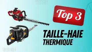 Top 3 Meilleur Taille Haie Thermique 2025