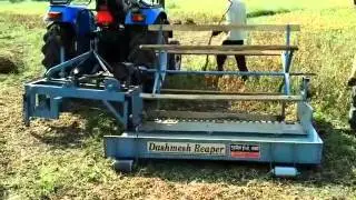 Dashmesh Soybean Reaper