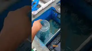 Advanced Wastewater Treatment plant for Reuse water by Naklcean Water , 9904189939