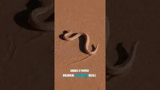 I Survived a Life-Changing Snake Bite #sincefacts #shortsviral #shorts