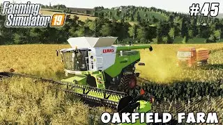 Renovation cheese factory, harvesting canola |  Oakfield Farm | Farming simulator 19 | Timelapse #45