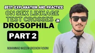 Sex linkage in Drosophila (2nd test Cross)|Classical Genetics|Biochem Fusion