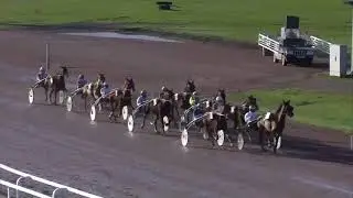 Hippodrome de Wallonie Mons (Belgi&euml;) 25-12-2020 Selectieproef 3 Flirtini - Willem Brouwer