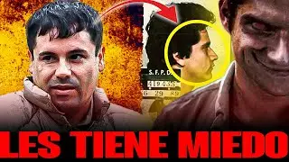 El Trono del TERR0R: Capos que Desafiaron al Chapo