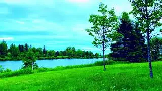Chill, Relaxing, Upbeat Lo-fi Beats ~ Down by the River