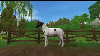 Star Stable Horse Review - The Trakehner