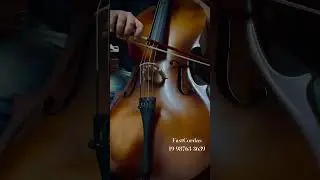 O melhor cello estudante, som rico c/ proje&ccedil;&atilde;o for&ccedil;a, super macio p/ tocar. J&aacute; ajustado por Luthier