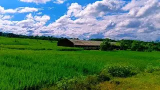 What a wonderful world Nature #LandscapeHD