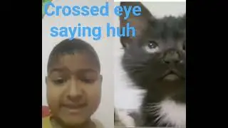 crossed eye cat saying huh#viral#trending#shortsvideo #funny #crosseyecat #cat