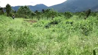 TORAC'S TRAIL DEMO - Bojes Jester