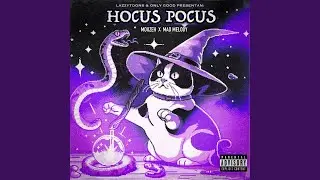 Hocus Pocus