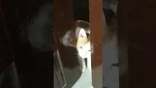 njan pokunnu... bye.. bye..!!!!
