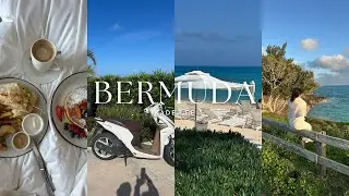 TRAVEL VLOG: LETS GO TO BERMUDA | WHERE TRANQUILITY MEETS NATURE 🤍🌴