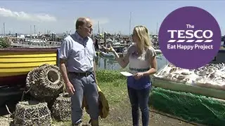 Shimmering Sardines: why are fish good for you?