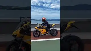 Panigale v4r yellow #ladybikers #shorts #ducati
