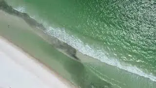 Massive little fish migration!!!