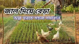 মুরগীর হাত থেকে পিয়াজের চারা বাঁচালাম | জাল দিয়ে বেড়া | Onion Seedling Protection