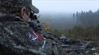 Hardcore Pursuit - Quebec Moose