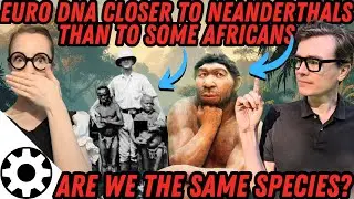 Are Humans A Single Species? (What If We Categorized Humans Like&nbsp;Other&nbsp;Animals)