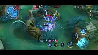 Aamon Legendary Combos and Team Fights