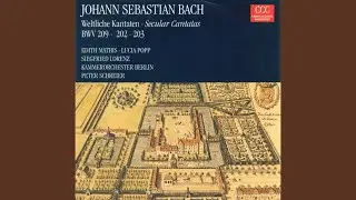 Amore traditore, BWV 203: Aria: Chi in amore ha nemica la sorte