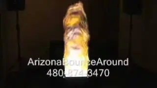 Large Fake Flame Lighting Effect from Arizona Bounce Arund