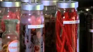 Fringe - Walter Bishop&Brown Betty
