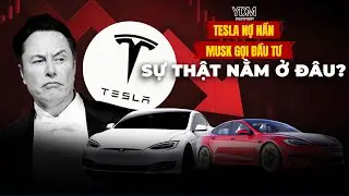 Mua Tesla 2025: B&iacute; mật Elon Musk 