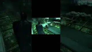 The Batplane
