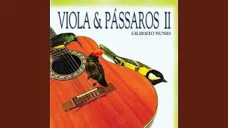 Ip&ecirc; Florido