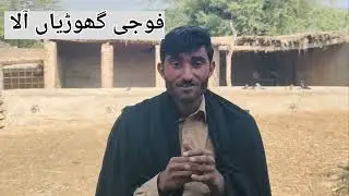 Horse care || Horse protection || Mare || Culture punjab || Cultural Equipment 