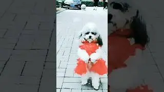 trending topics #short #short feed #youtube short