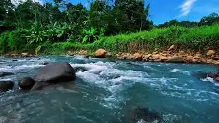 Blue-Sky Jungle River &ndash; Gentle Water Sounds for Deep Sleep Tonight (No Music, No Talking)